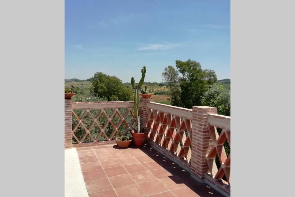 Casa Rural La Vega Cazalla de la Sierra Extérieur photo