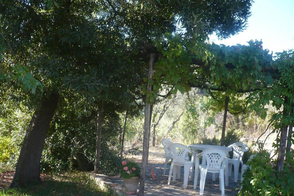 Casa Rural La Vega Cazalla de la Sierra Extérieur photo